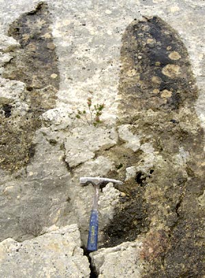 suintements d'eau souterraine sur une paroi